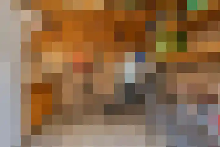 Uilendonk 16 Veghel thumbnail 29
