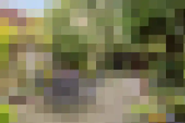 Uilendonk 16 Veghel thumbnail 30