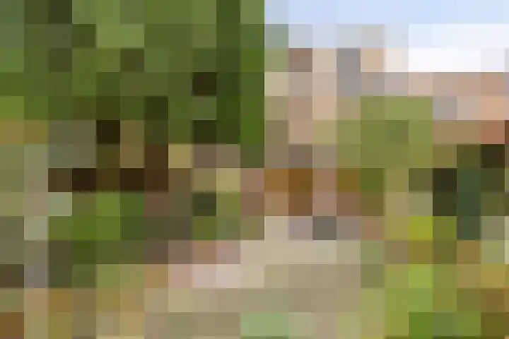 Uilendonk 16 Veghel thumbnail 33