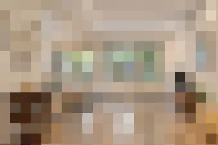 Uilendonk 16 Veghel thumbnail 7