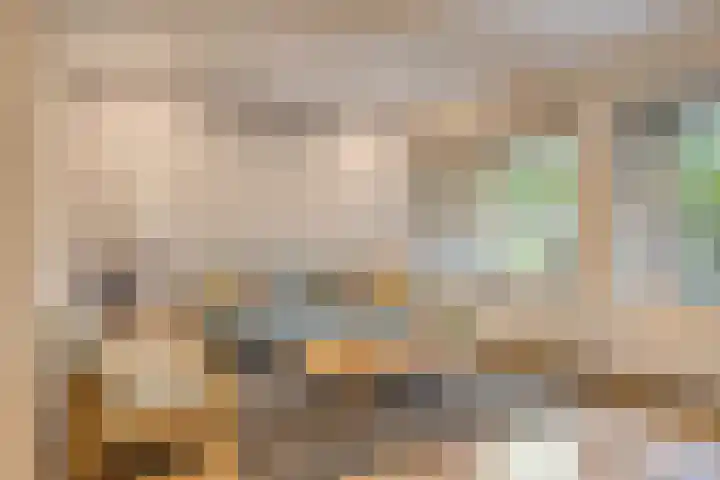 Uilendonk 16 Veghel thumbnail 9