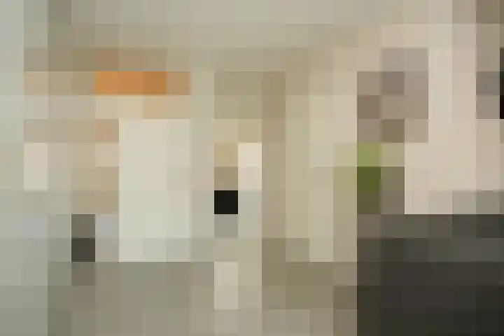 Uilendonk 18 Veghel thumbnail 14