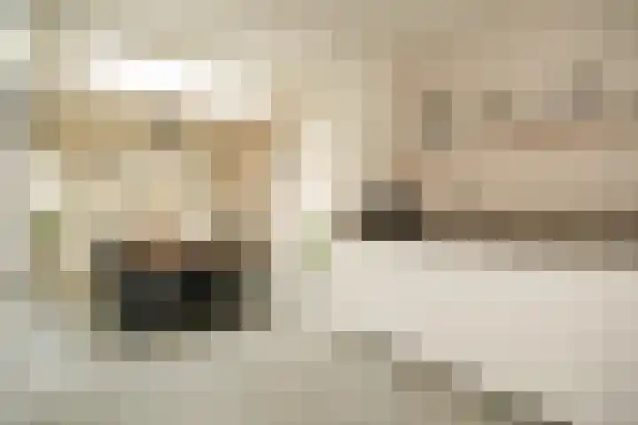 Uilendonk 18 Veghel thumbnail 15