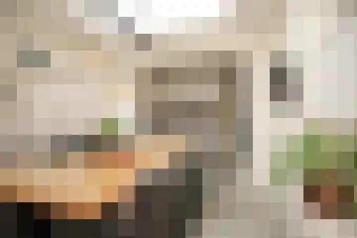 Uilendonk 18 Veghel thumbnail 18