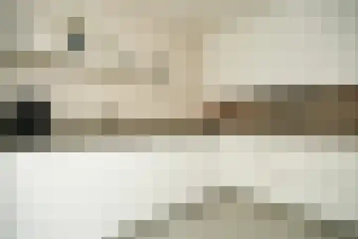 Uilendonk 18 Veghel thumbnail 19