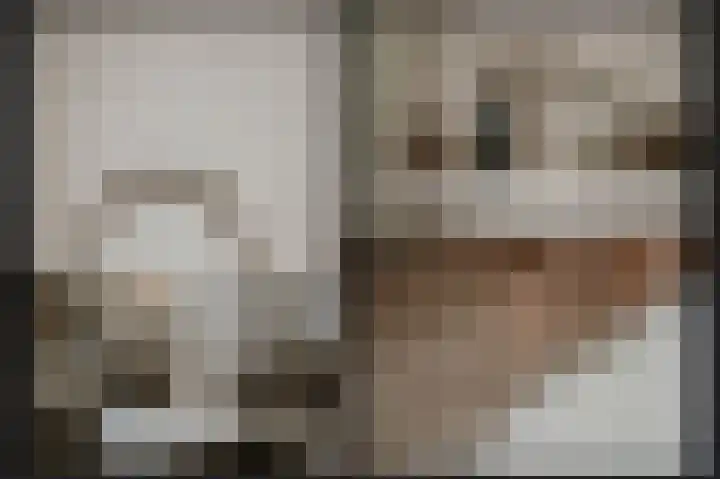 Uilendonk 18 Veghel thumbnail 21