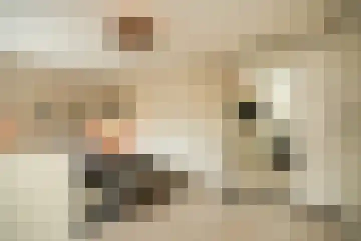 Uilendonk 18 Veghel thumbnail 26
