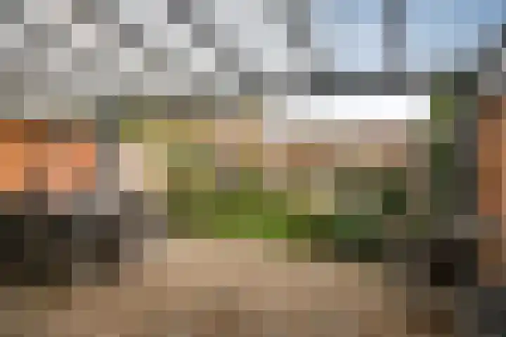 Uilendonk 18 Veghel foto 3