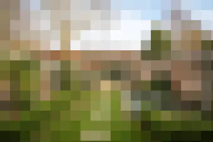 Uilendonk 18 Veghel thumbnail 43