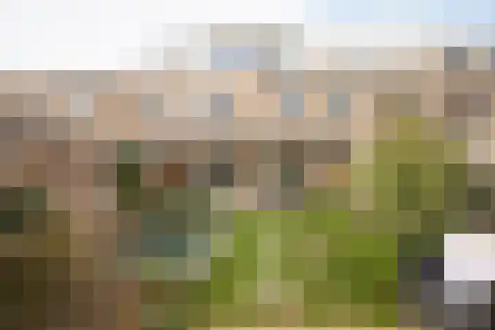 Uilendonk 18 Veghel thumbnail 44