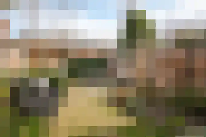 Uilendonk 18 Veghel thumbnail 46