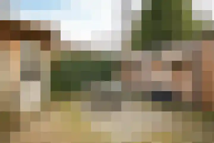 Uilendonk 18 Veghel thumbnail 48