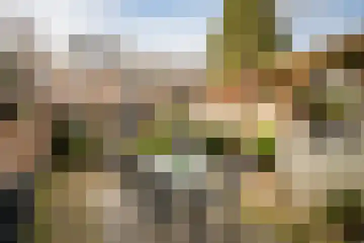 Uilendonk 18 Veghel thumbnail 49