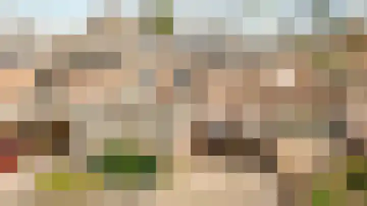Uilendonk 18 Veghel thumbnail 5
