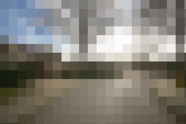 Uilendonk 18 Veghel thumbnail 51