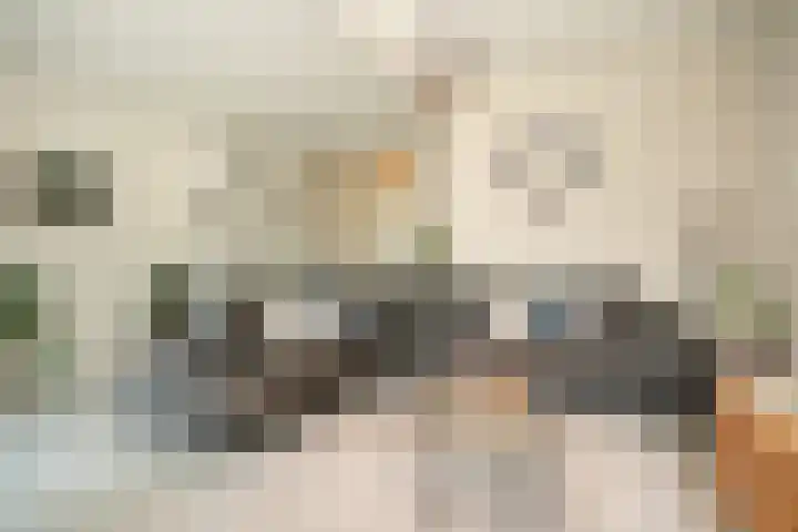 Uilendonk 18 Veghel thumbnail 7