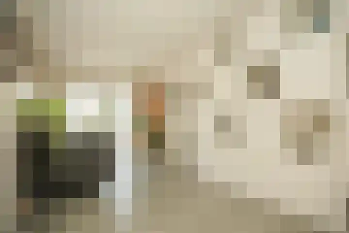 Uilendonk 18 Veghel thumbnail 8