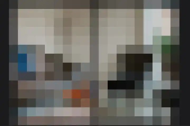 Uilendonk 18 Veghel thumbnail 9