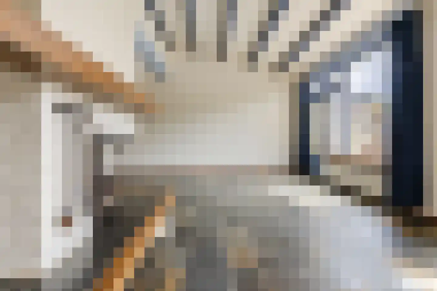 Uilendonk 7 Veghel thumbnail 11