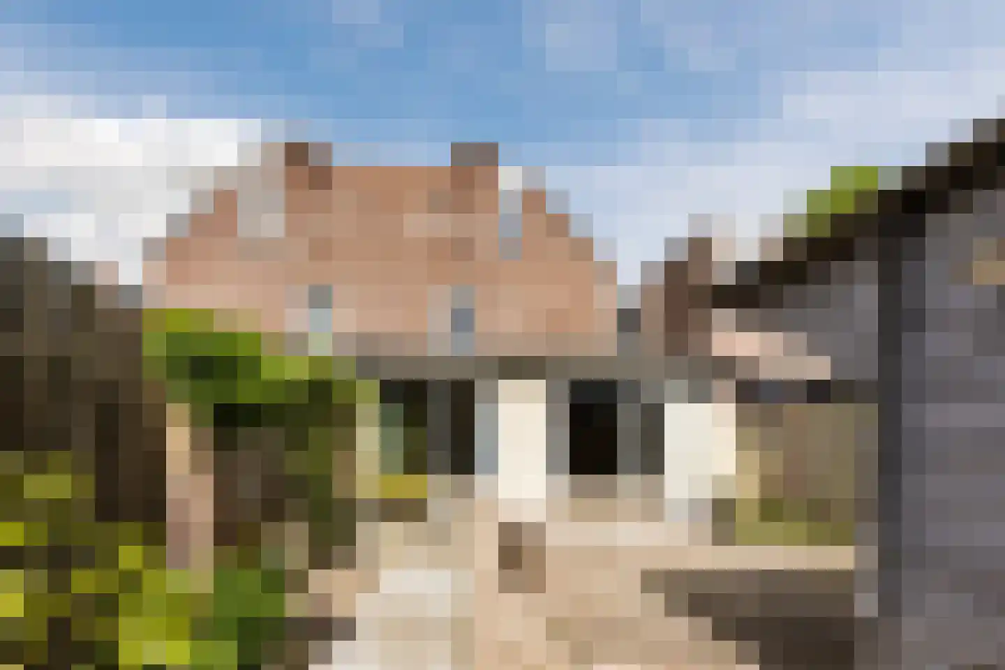 Uilendonk 7 Veghel thumbnail 29