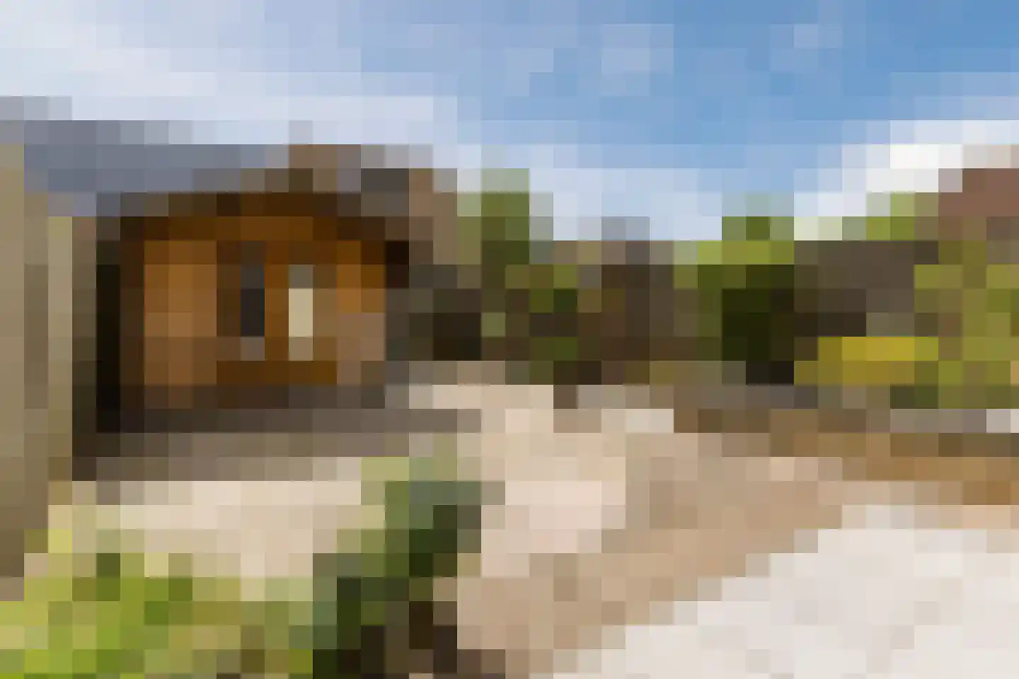 Uilendonk 7 Veghel thumbnail 30