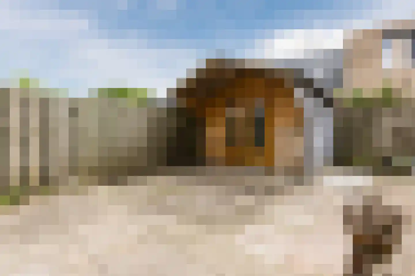 Uilendonk 7 Veghel thumbnail 31