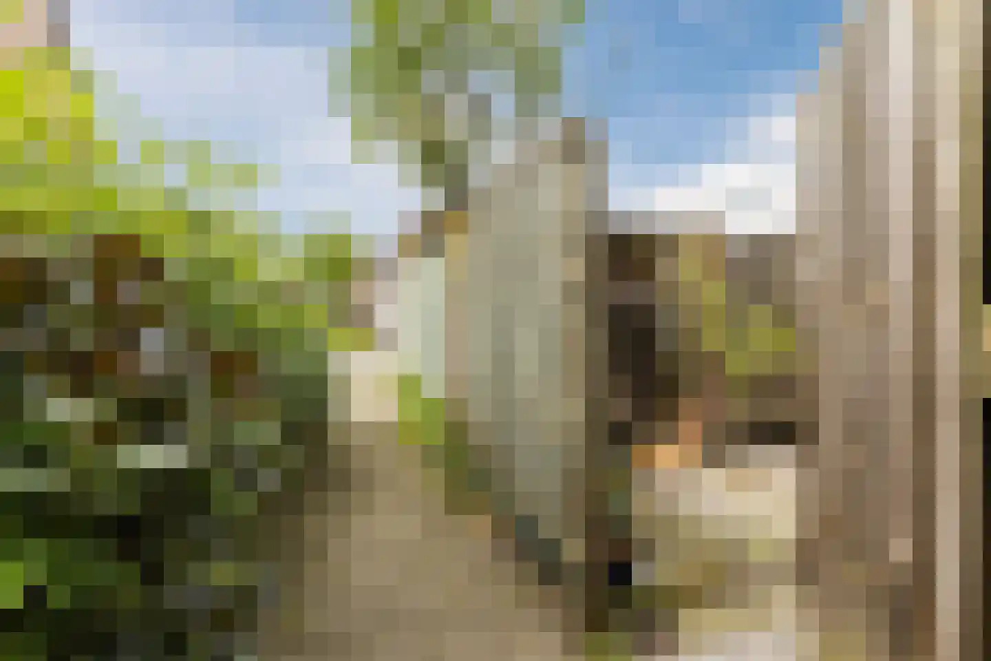 Uilendonk 7 Veghel thumbnail 34