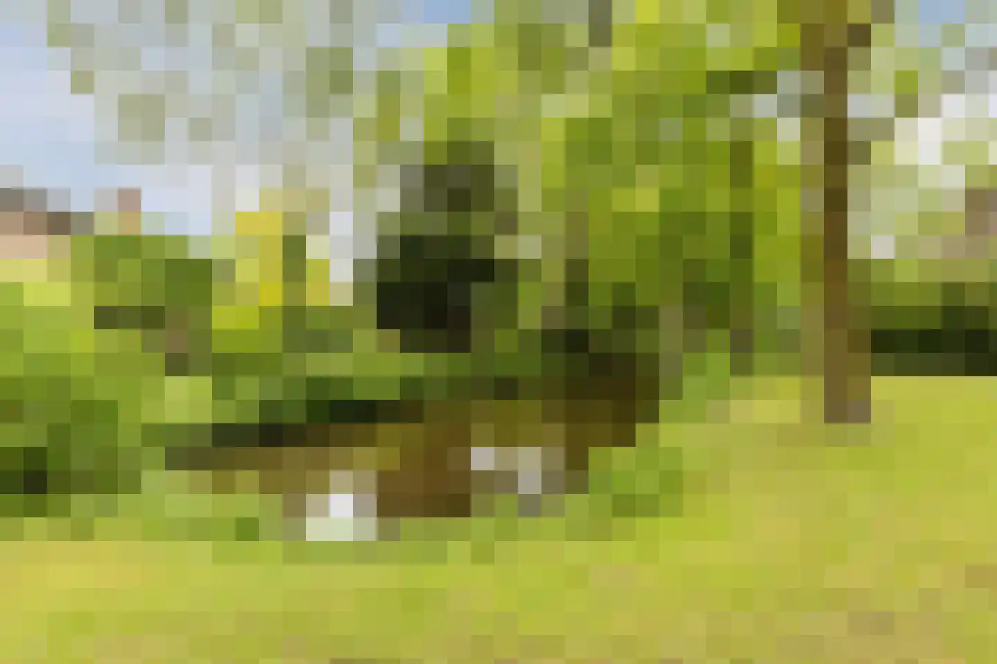 Uilendonk 7 Veghel thumbnail 37