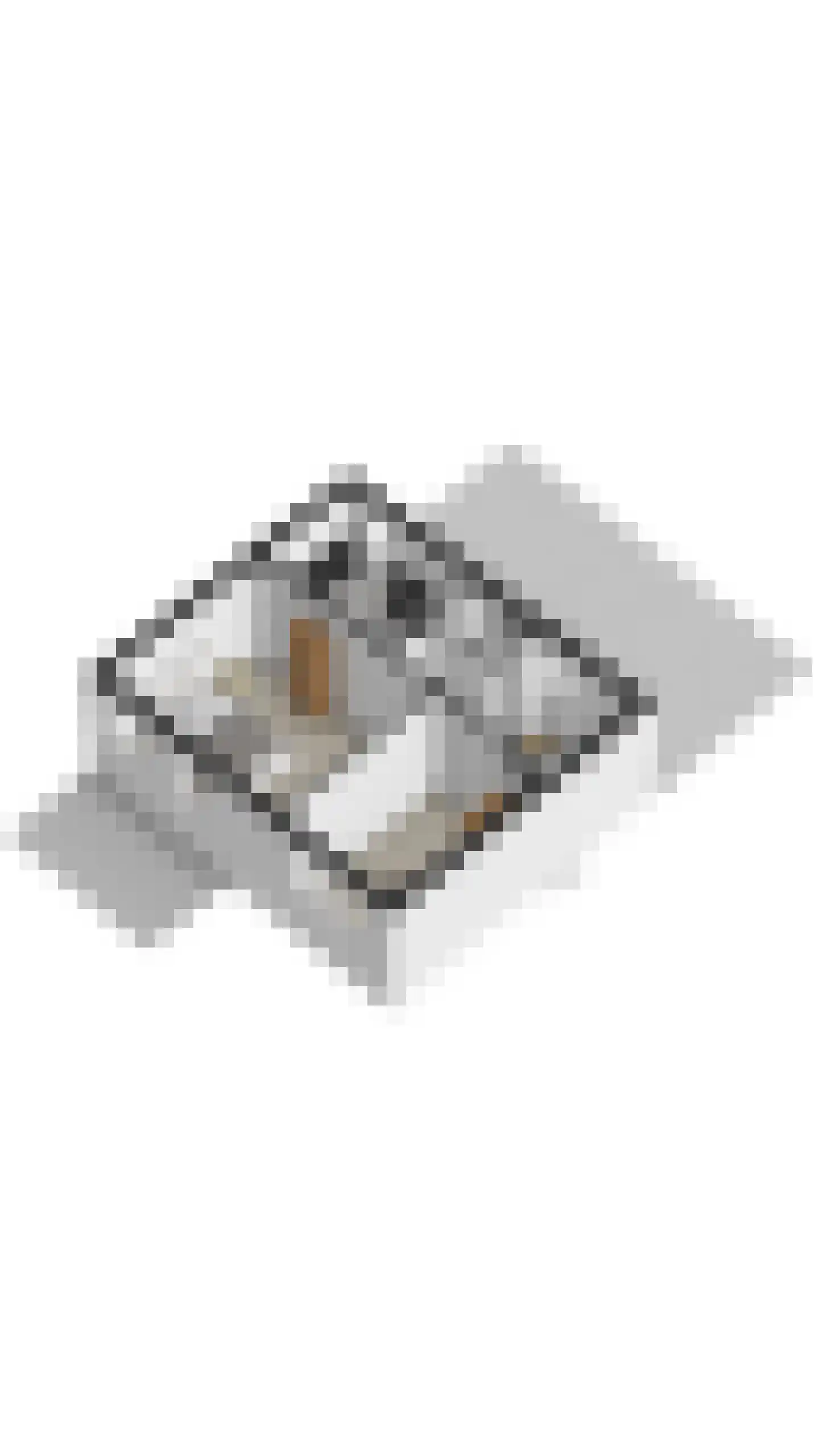 Uilendonk 7 Veghel thumbnail 43