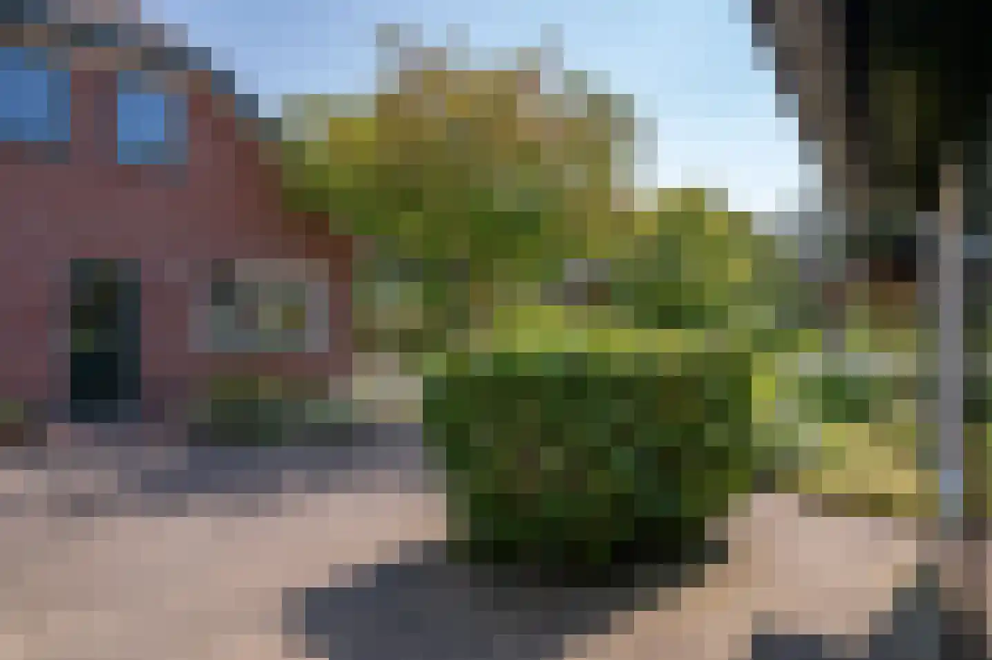 Uilenesterstraat 19 Keijenborg thumbnail 13