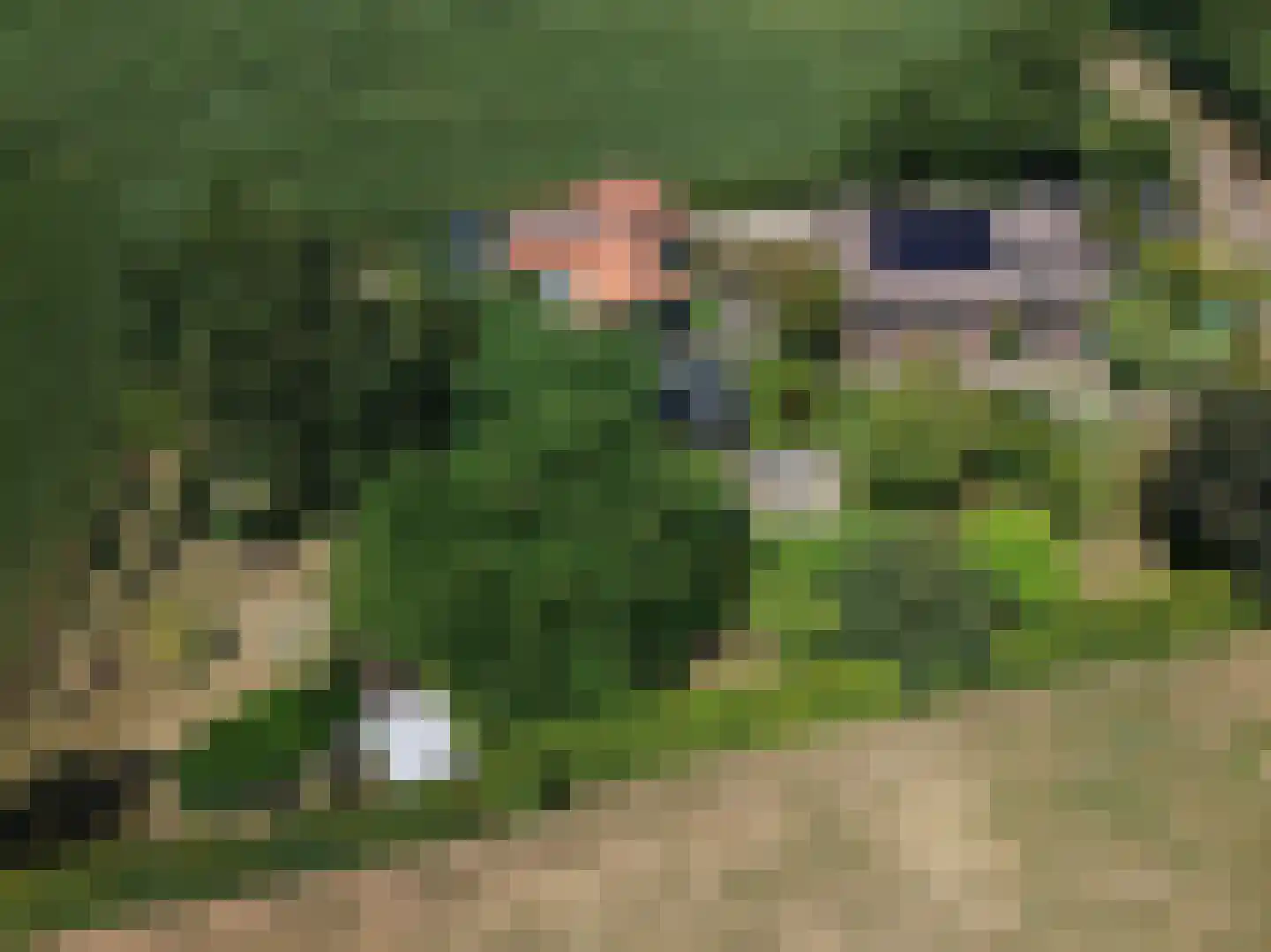 Uilenesterstraat 19 Keijenborg thumbnail 4