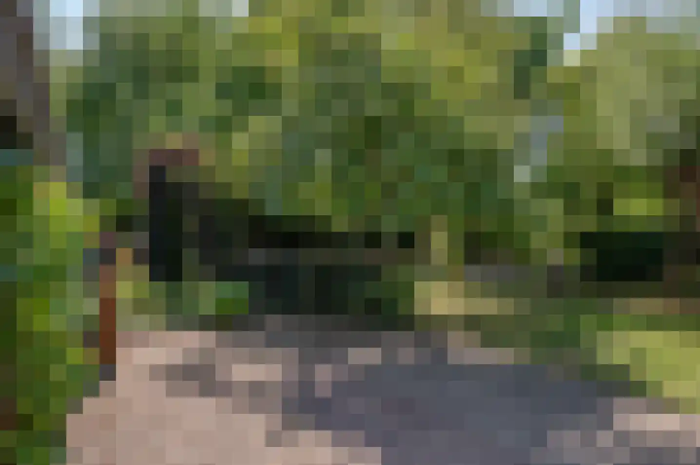 Uilenesterstraat 19 Keijenborg thumbnail 69