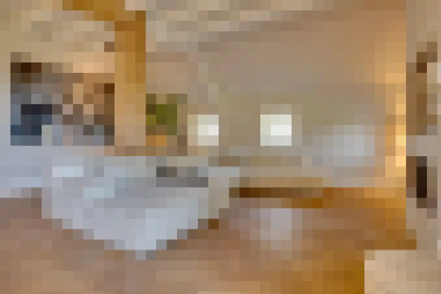 Uilengat 5 Bergharen thumbnail 13
