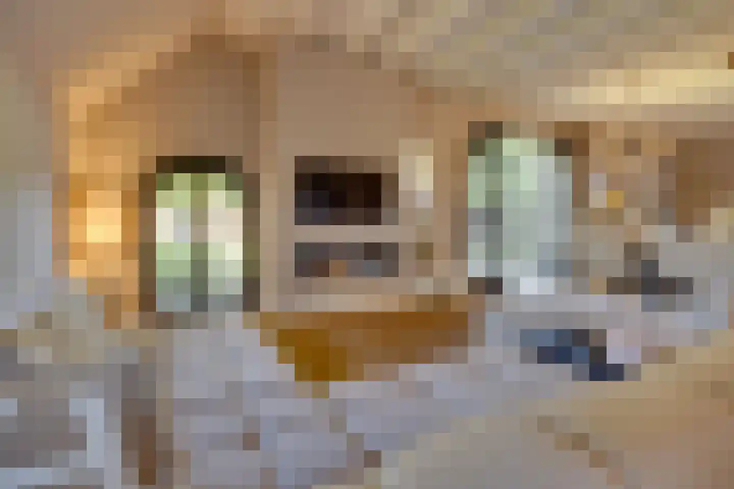 Uilengat 5 Bergharen thumbnail 16
