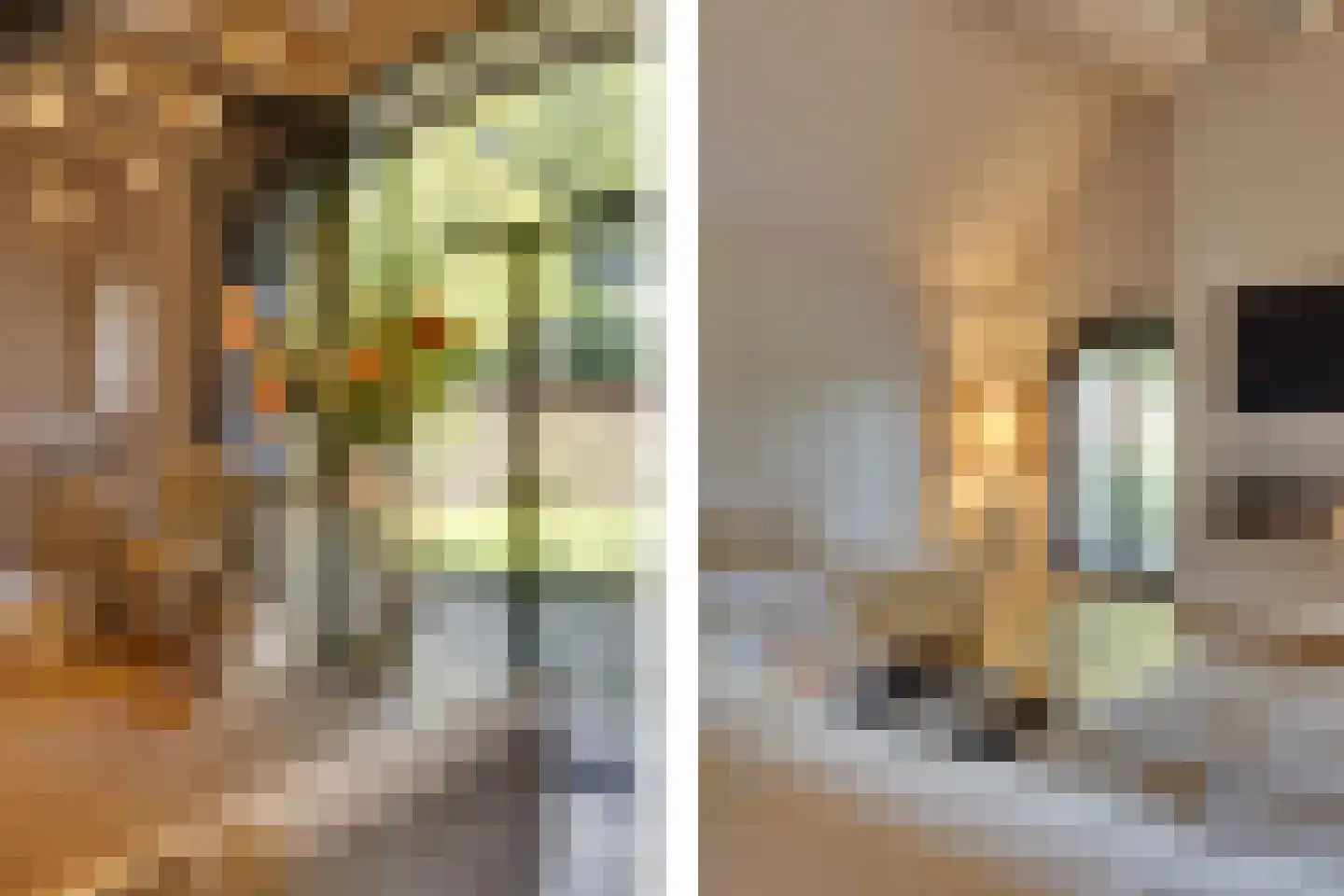 Uilengat 5 Bergharen thumbnail 19