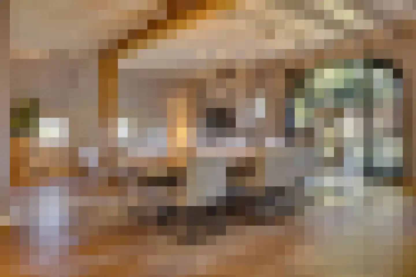 Uilengat 5 Bergharen thumbnail 21