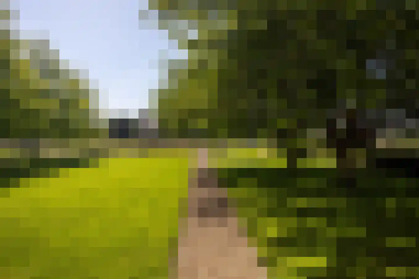 Uilengat 5 Bergharen thumbnail 4