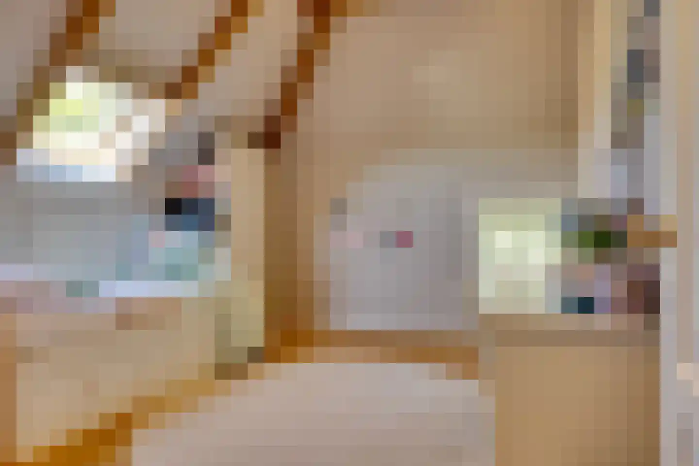 Uilengat 5 Bergharen thumbnail 47