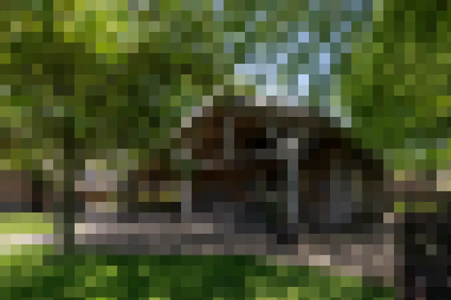 Uilengat 5 Bergharen thumbnail 59