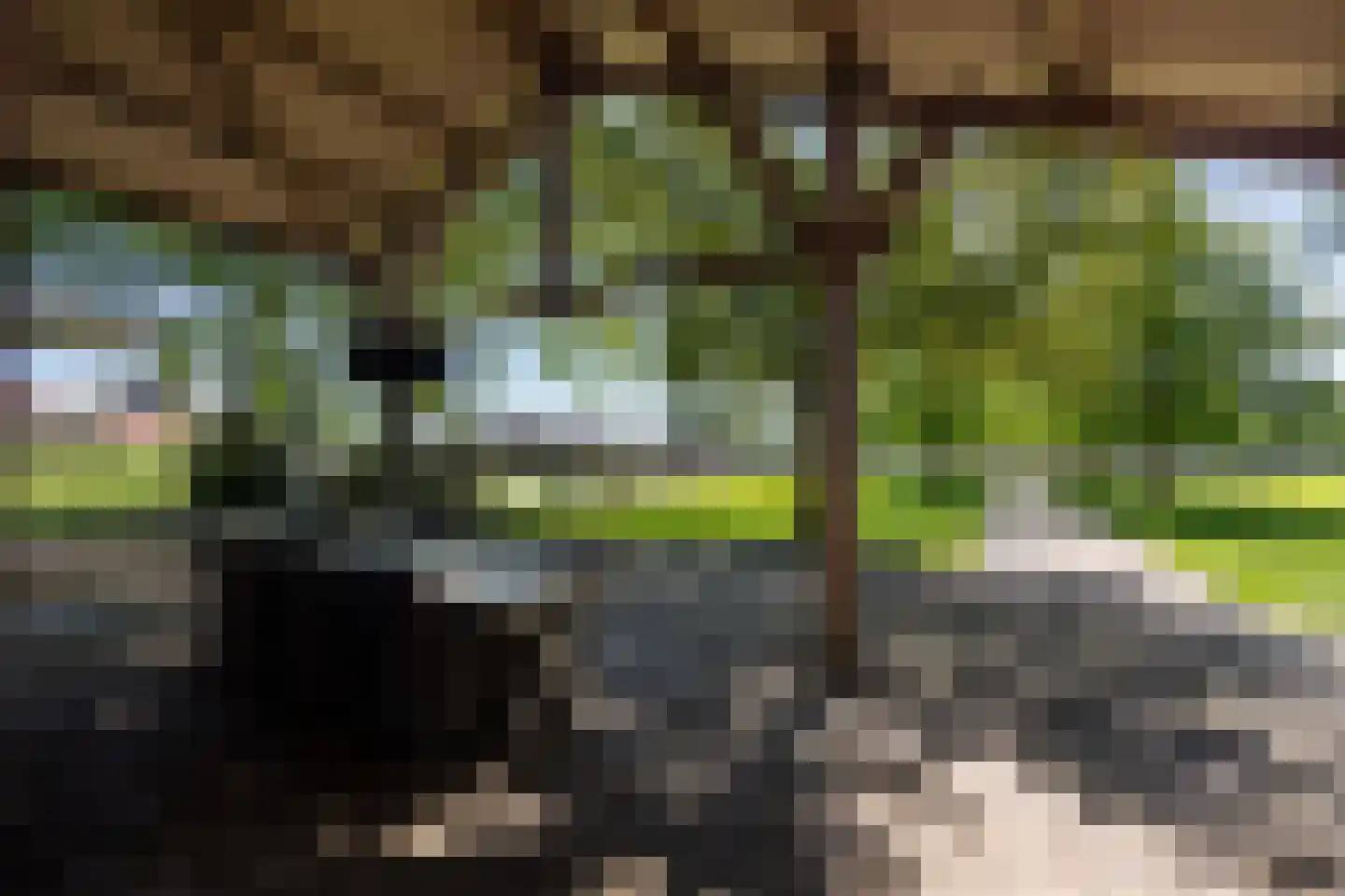 Uilengat 5 Bergharen thumbnail 60
