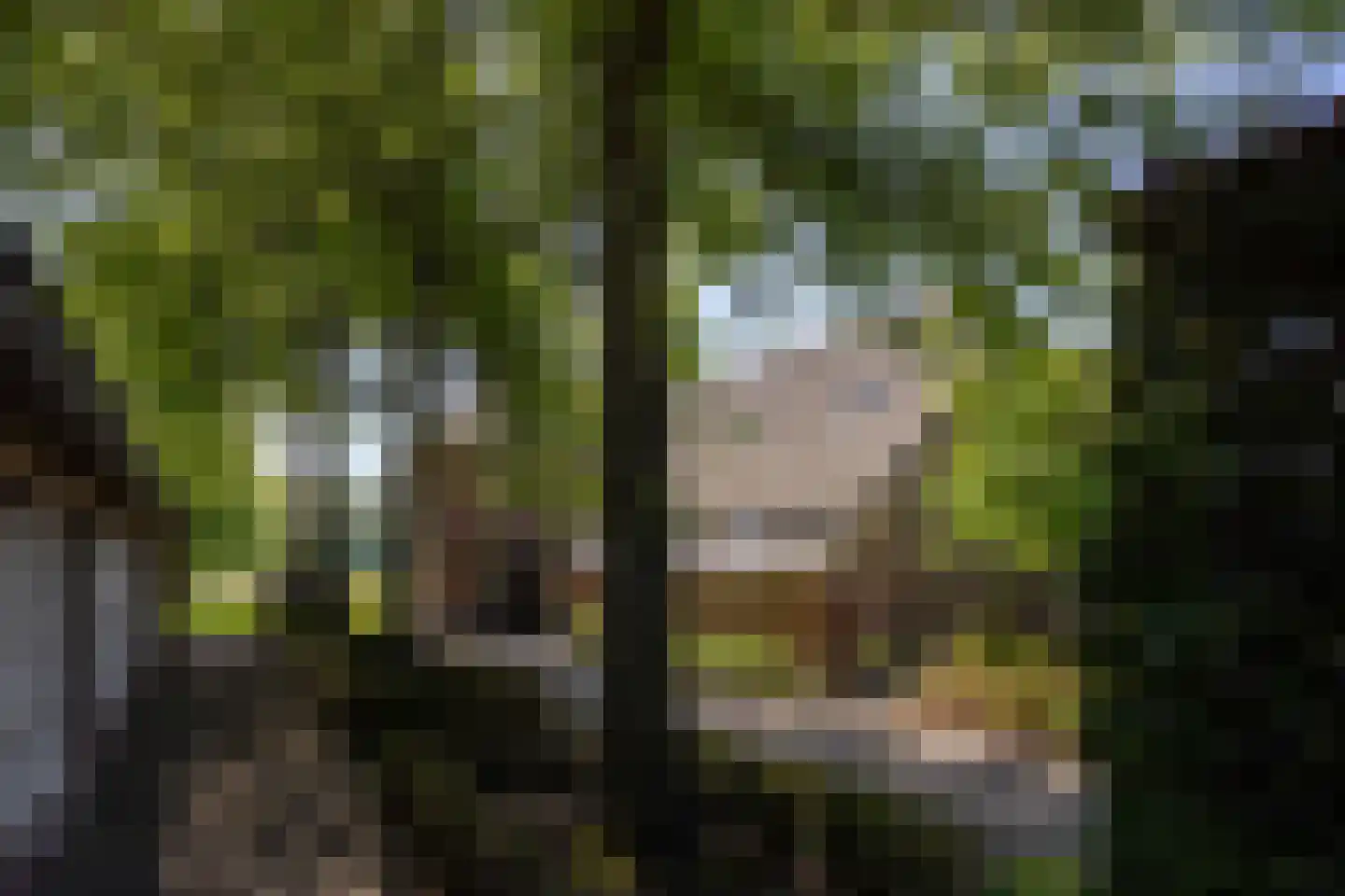Uilengat 5 Bergharen thumbnail 61