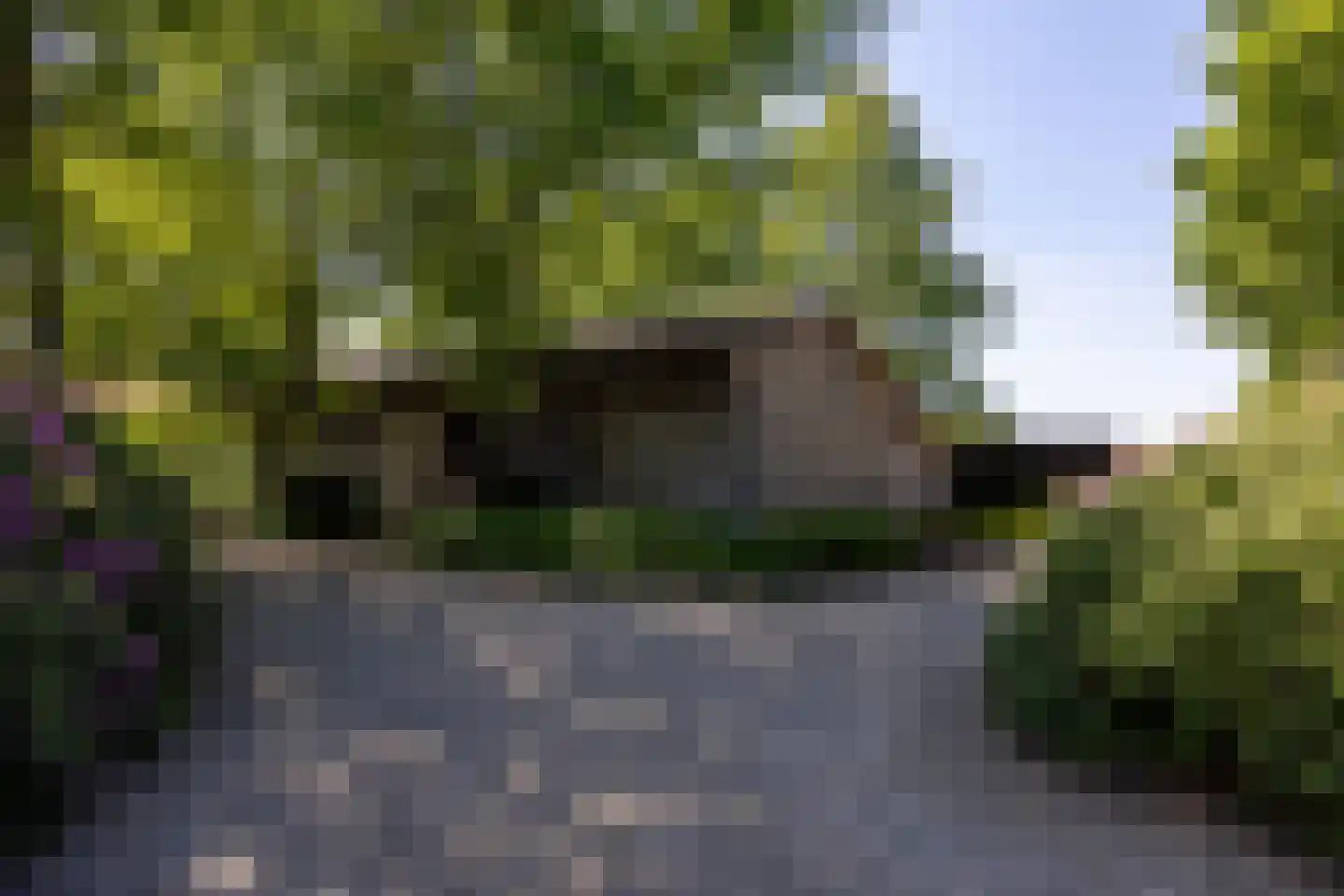Uilengat 5 Bergharen thumbnail 62