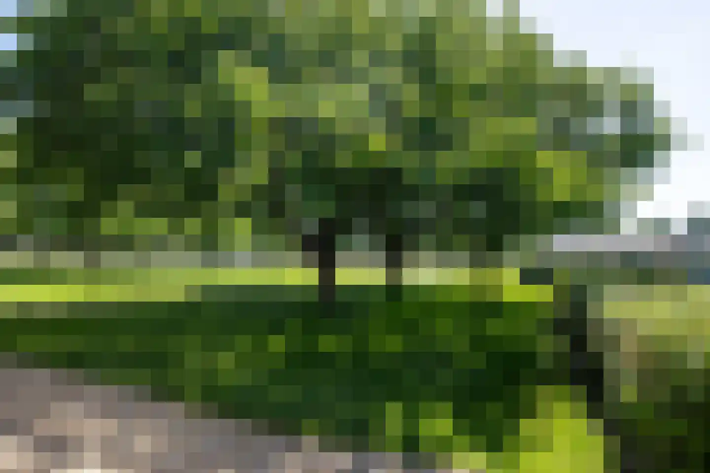 Uilengat 5 Bergharen thumbnail 64