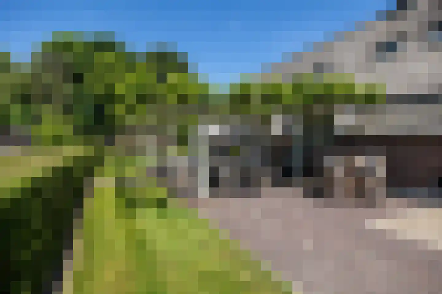 Uilengat 5 Bergharen thumbnail 70