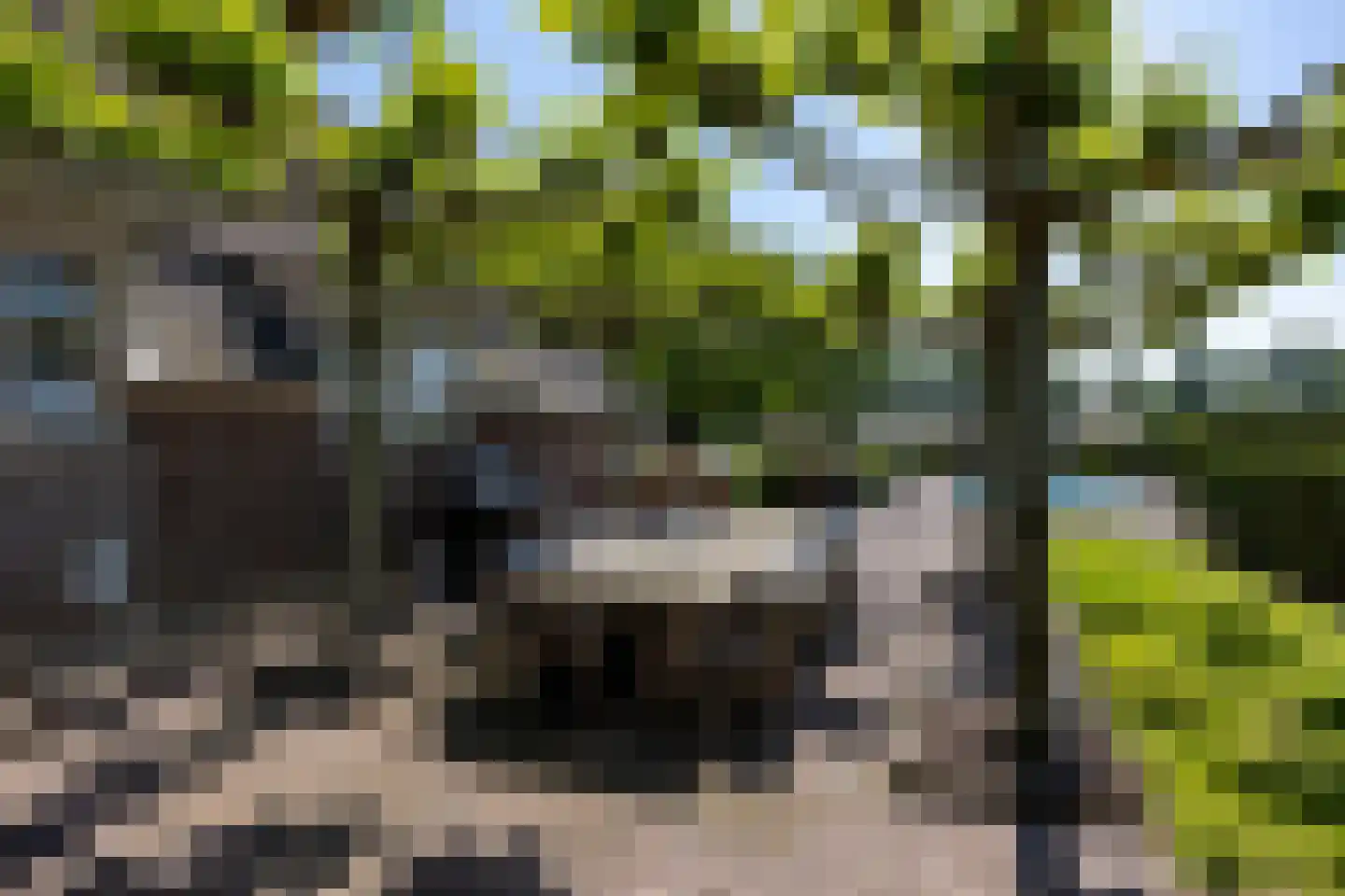 Uilengat 5 Bergharen thumbnail 71