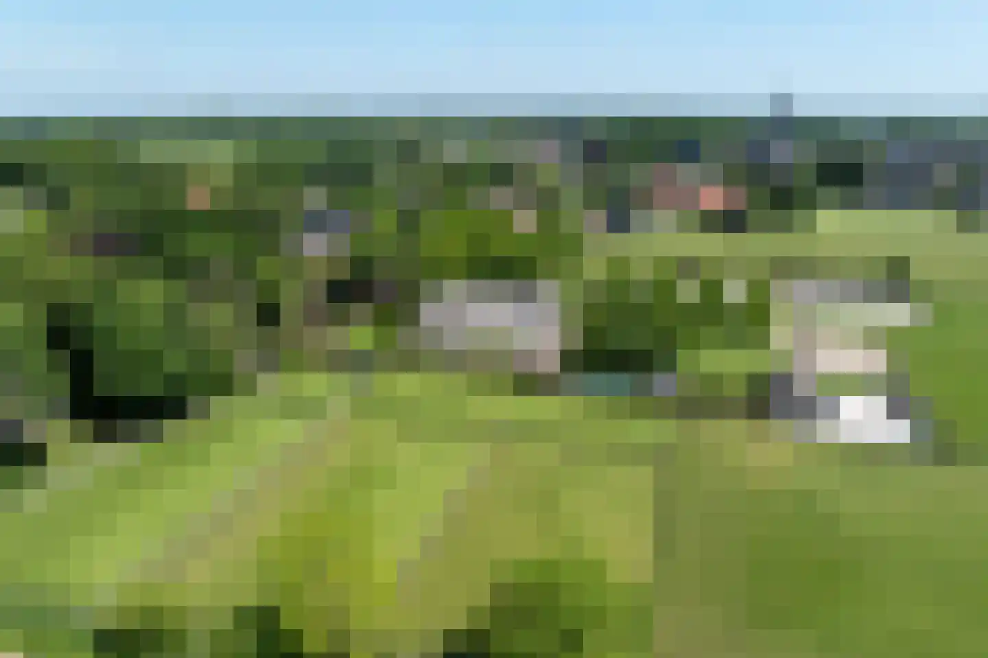 Uilengat 5 Bergharen thumbnail 79