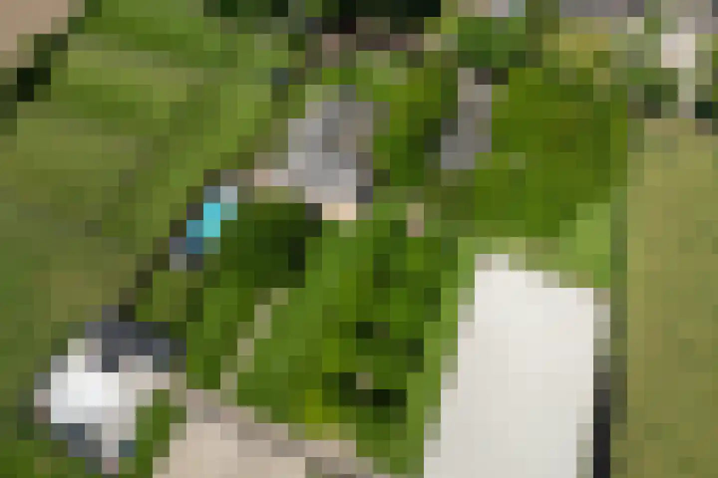 Uilengat 5 Bergharen thumbnail 81