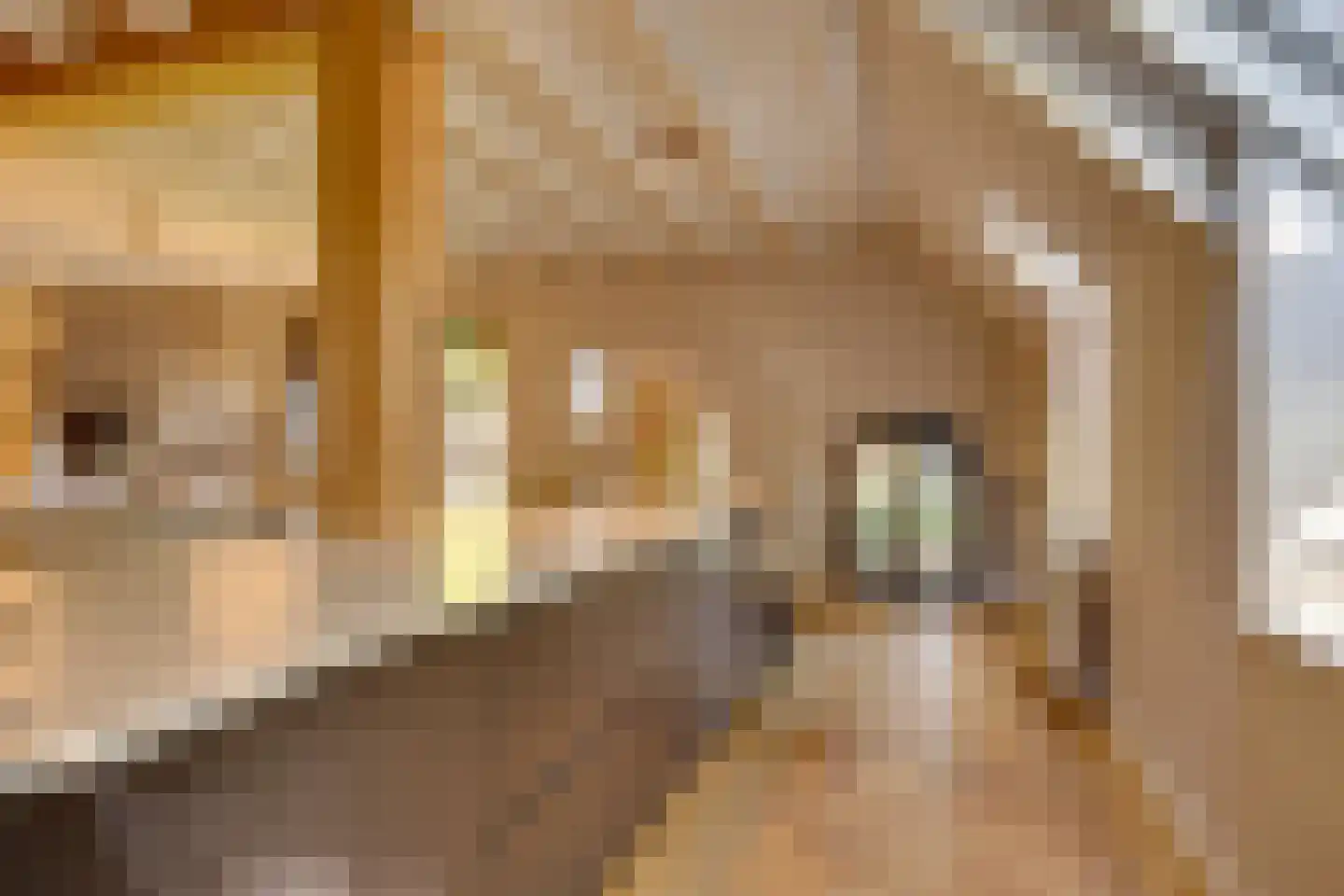 Uilengat 5 Bergharen thumbnail 9