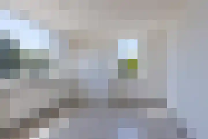 Uilenhoek 37 Delfzijl thumbnail 29