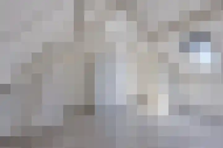 Uilenhoek 37 Delfzijl thumbnail 38